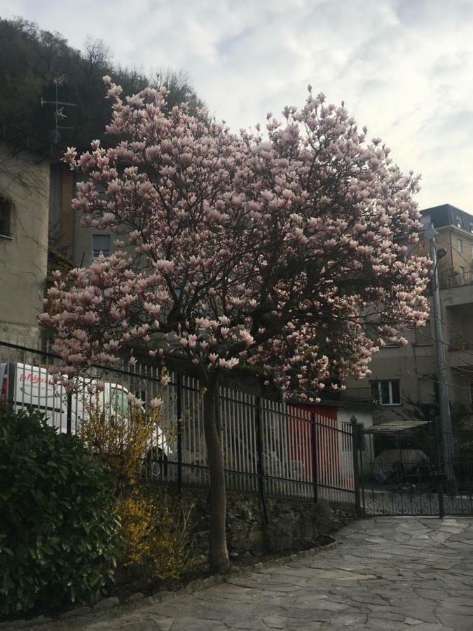 Ül Laghèe Blevio Apartments Extérieur photo